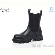 Ботинки Dageni AP2203-1